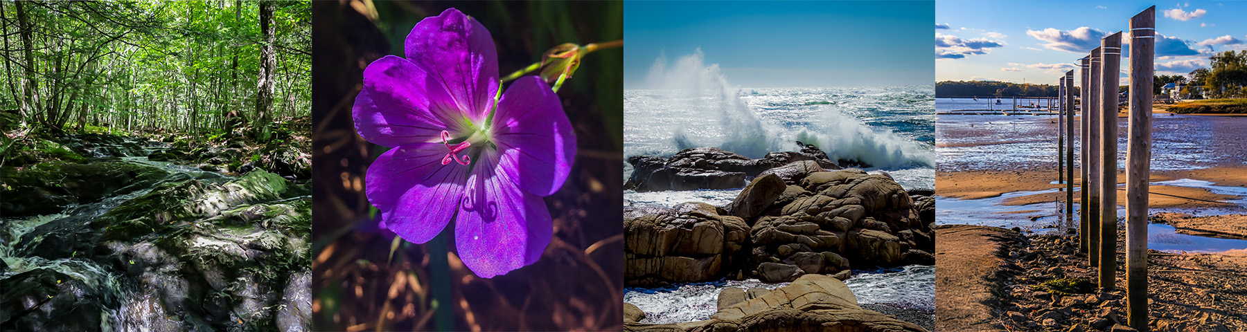 Yara Perez, LCPC, CST