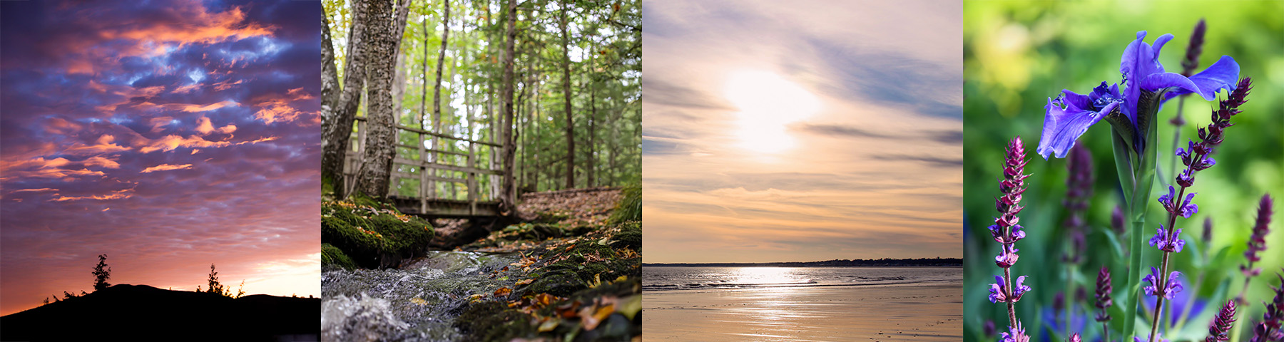 Yara Perez, LCPC, CST