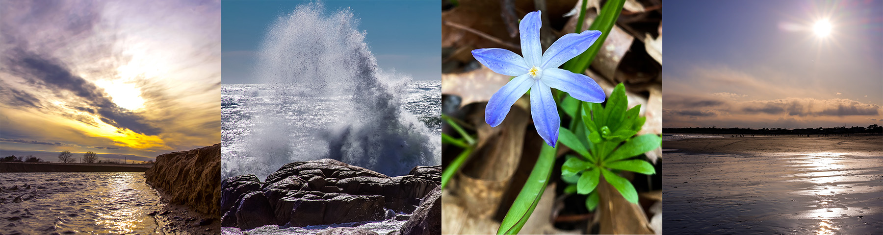 Yara Perez, LCPC, CST